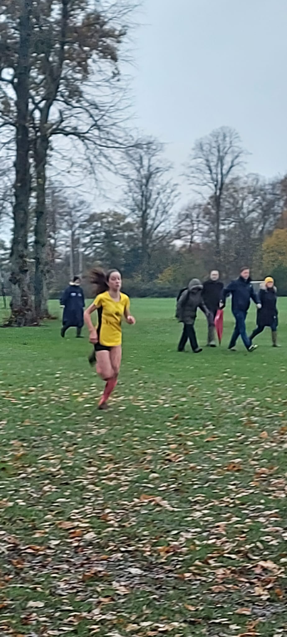 HRR juniors at Gosfield Cross Country
