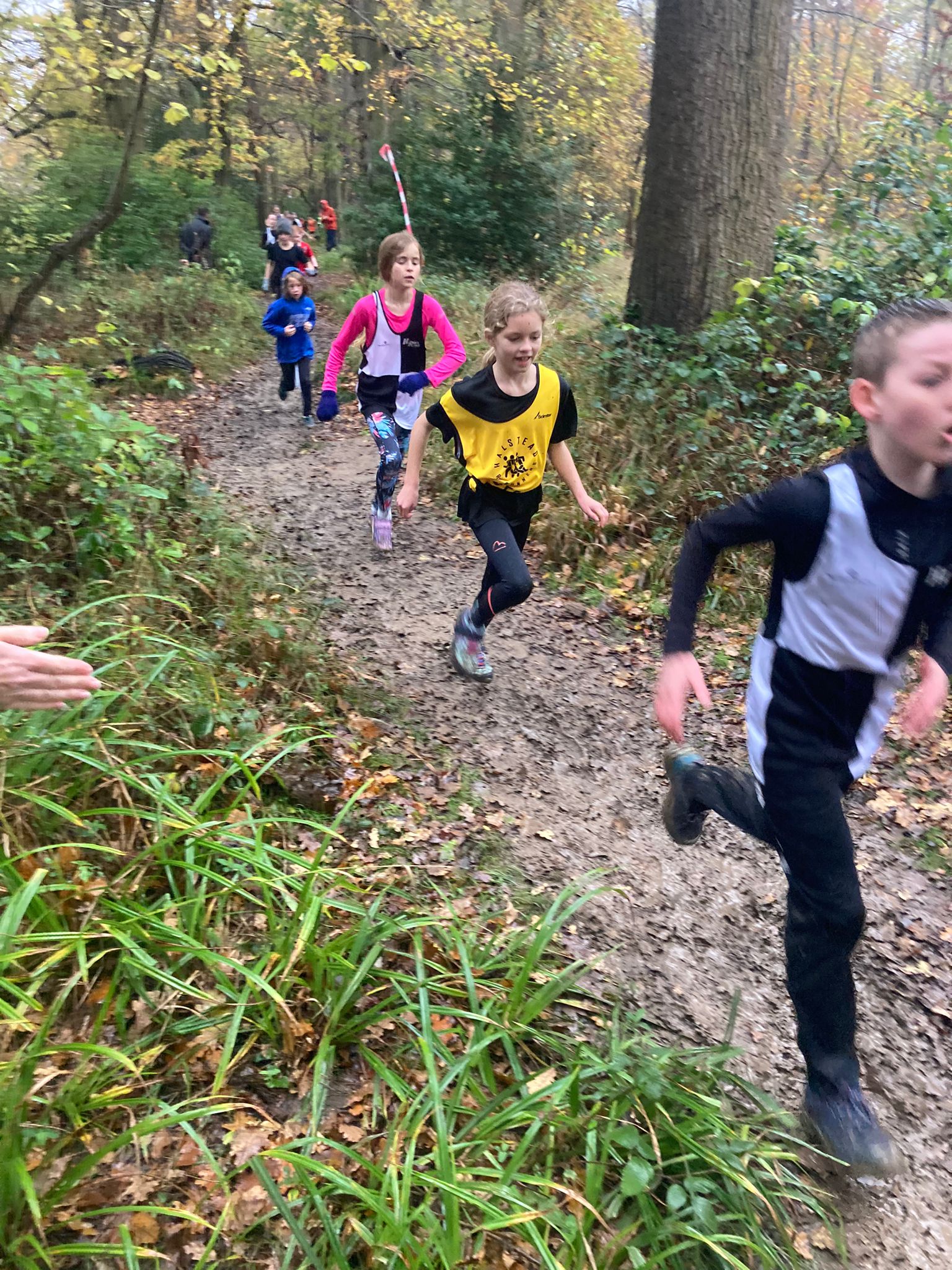 HRR juniors at Gosfield Cross Country