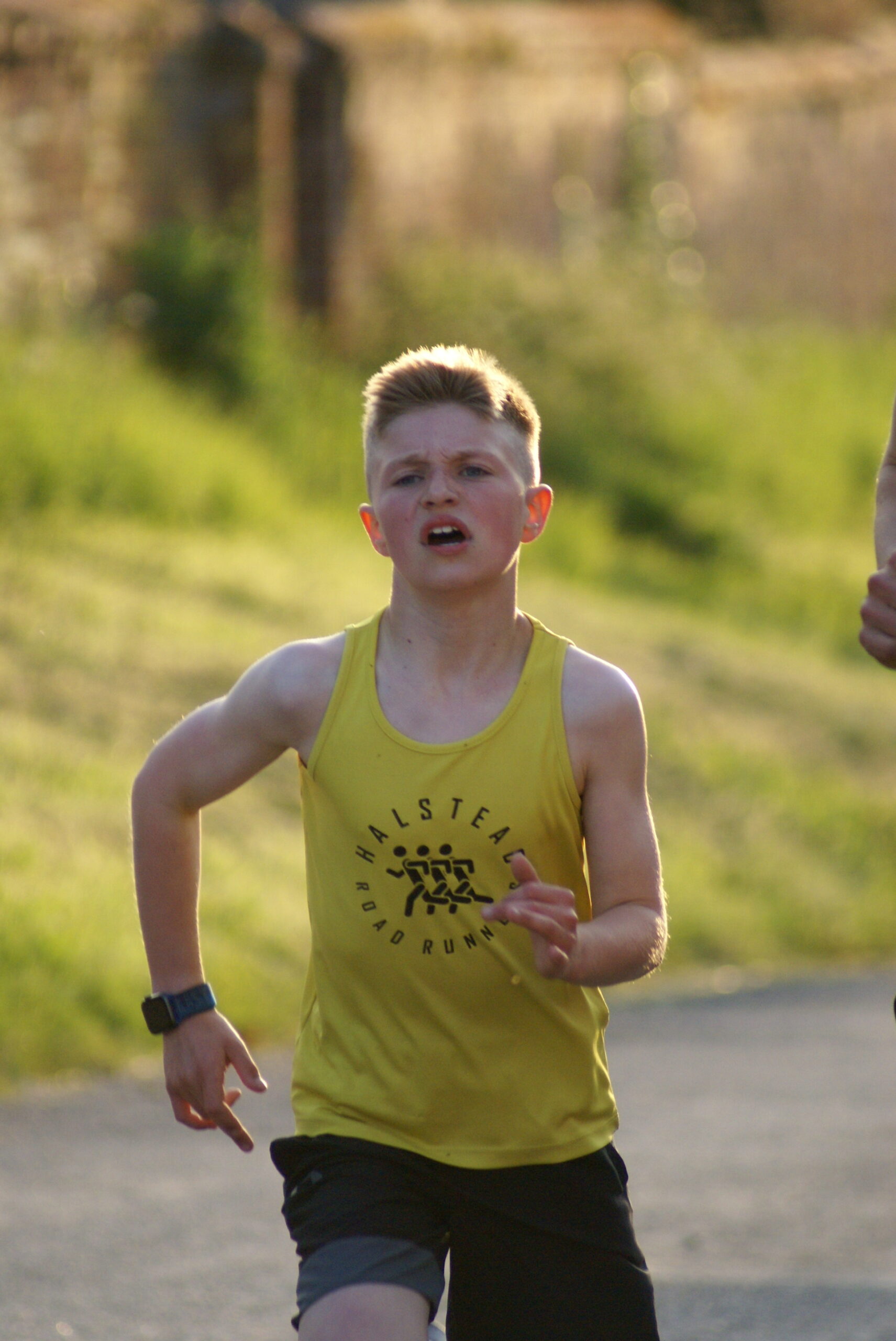 Summer Series Race 1-5km Great Tey Summer Series Race 1-5km Great Tey
