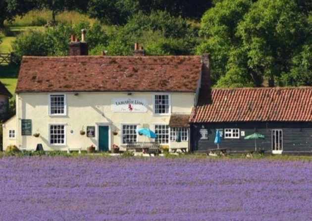 lamarshpubfromacrossfields
